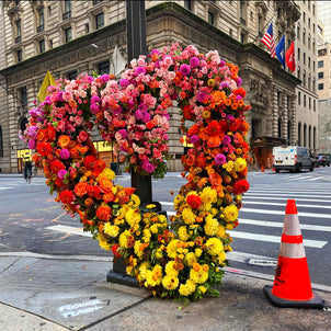 Lewis Miller Flower Flash Limited Edition Print Default