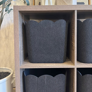 The Scalloped Bin - Original | Set of 3 Carbon