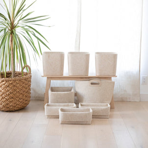 SortJoy The Transformation Set Stone