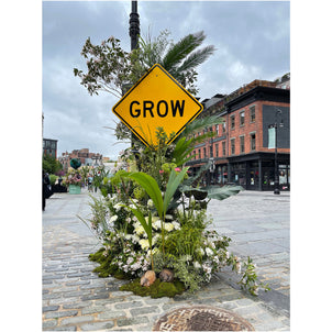 Lewis Miller GROW Flower Flash Limited Edition Print Default