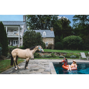 Face-Off by Nick Mele Default