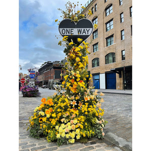 Lewis Miller ONE WAY Flower Flash Limited Edition Print Default