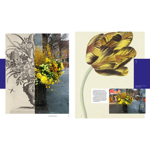 Flower Flash by Lewis Miller Hard Cover Book Default