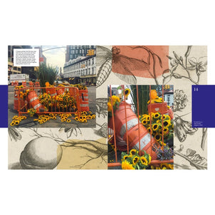 Flower Flash by Lewis Miller Hard Cover Book Default