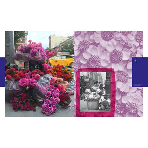 Flower Flash by Lewis Miller Hard Cover Book Default