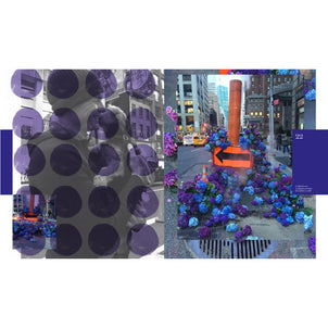 Flower Flash by Lewis Miller Hard Cover Book Default